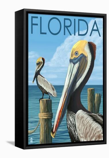 Brown Pelicans - Florida, c.2008-Lantern Press-Framed Stretched Canvas