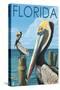 Brown Pelicans - Florida, c.2008-Lantern Press-Stretched Canvas