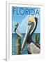 Brown Pelicans - Florida, c.2008-Lantern Press-Framed Art Print