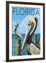 Brown Pelicans - Florida, c.2008-Lantern Press-Framed Art Print