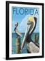 Brown Pelicans - Florida, c.2008-Lantern Press-Framed Art Print