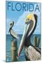 Brown Pelicans - Florida, c.2008-Lantern Press-Mounted Art Print