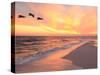 Brown Pelicans Flying in Formation at Sunset on Florida Beach-Steve Bower-Stretched Canvas