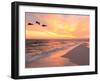 Brown Pelicans Flying in Formation at Sunset on Florida Beach-Steve Bower-Framed Photographic Print