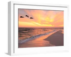 Brown Pelicans Flying in Formation at Sunset on Florida Beach-Steve Bower-Framed Photographic Print