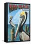 Brown Pelicans - Vero Beach, Florida-Lantern Press-Framed Stretched Canvas