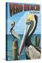 Brown Pelicans - Vero Beach, Florida-Lantern Press-Stretched Canvas