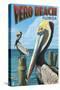 Brown Pelicans - Vero Beach, Florida-Lantern Press-Stretched Canvas