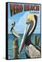 Brown Pelicans - Vero Beach, Florida-Lantern Press-Framed Stretched Canvas