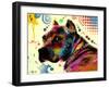 Brown Pitbull Brown Eyes Look 2-Mark Ashkenazi-Framed Giclee Print