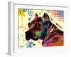 Brown Pitbull Brown Eyes Look 2-Mark Ashkenazi-Framed Giclee Print