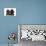 Brown Poodle and Black Poodle with Paws over Ledge-null-Photographic Print displayed on a wall