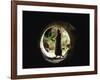 Brown Rat (Rattus Norvegicus) Standing at Entrance to Drain-Jane Burton-Framed Photographic Print