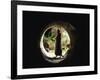 Brown Rat (Rattus Norvegicus) Standing at Entrance to Drain-Jane Burton-Framed Photographic Print