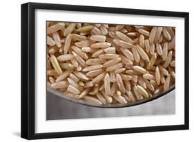 Brown Rice-Steve Gadomski-Framed Photographic Print