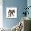Brown Roan Italian Spinone Puppy, Riley, 13 Weeks, Chewing His Tail-Mark Taylor-Photographic Print displayed on a wall