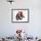 Brown Roan Italian Spinone Puppy, Riley, 13 Weeks, Wearing a Father Christmas Hat-Mark Taylor-Framed Photographic Print displayed on a wall