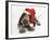 Brown Roan Italian Spinone Puppy, Riley, 13 Weeks, Wearing a Father Christmas Hat-Mark Taylor-Framed Photographic Print