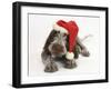 Brown Roan Italian Spinone Puppy, Riley, 13 Weeks, Wearing a Father Christmas Hat-Mark Taylor-Framed Photographic Print