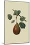 Brown's Beurre Pear-William Hooker-Mounted Art Print