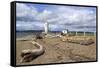 Brown's Point Lighthouse, Tacoma, Washington State, United States of America, North America-Richard Cummins-Framed Stretched Canvas