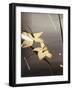 Brown Scene I-Lola Abellan-Framed Giclee Print