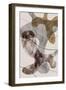 Brown Seaweed-Pictufy Studio II-Framed Giclee Print