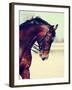 Brown Stallion. Portrait of a Sports Brown Horse. Riding on a Horse. Thoroughbred Horse. Beautiful-Elya Vatel-Framed Photographic Print