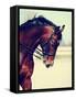 Brown Stallion. Portrait of a Sports Brown Horse. Riding on a Horse. Thoroughbred Horse. Beautiful-Elya Vatel-Framed Stretched Canvas