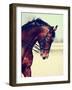 Brown Stallion. Portrait of a Sports Brown Horse. Riding on a Horse. Thoroughbred Horse. Beautiful-Elya Vatel-Framed Photographic Print