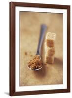 Brown Sugar-Veronique Leplat-Framed Photographic Print