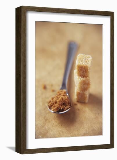 Brown Sugar-Veronique Leplat-Framed Photographic Print