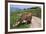 Brown Swiss Cowreaching under Barbed Wire to Eat Alpine Grass, Berner-Oberland Region, Switzerland-Lynn M^ Stone-Framed Photographic Print