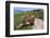 Brown Swiss Cowreaching under Barbed Wire to Eat Alpine Grass, Berner-Oberland Region, Switzerland-Lynn M^ Stone-Framed Photographic Print