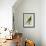 Brown-Throated Parakeet-Georges-Louis Buffon-Framed Giclee Print displayed on a wall