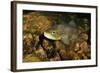 Brown Trout (Salmo Trutta), Ennerdale Valley, Lake District Np, Cumbria, England, UK, November 2011-Linda Pitkin-Framed Photographic Print