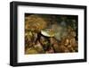 Brown Trout (Salmo Trutta), Ennerdale Valley, Lake District Np, Cumbria, England, UK, November 2011-Linda Pitkin-Framed Photographic Print