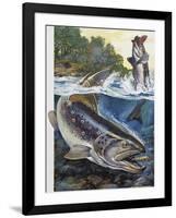 Brown Trout (Salmo Trutta), Salmonidae-null-Framed Giclee Print