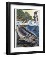 Brown Trout (Salmo Trutta), Salmonidae-null-Framed Premium Giclee Print