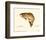 Brown Trout-Teri Renee Blehm-Framed Art Print