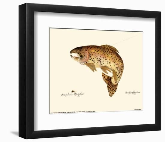 Brown Trout-Teri Renee Blehm-Framed Art Print