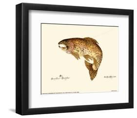 Brown Trout-Teri Renee Blehm-Framed Art Print