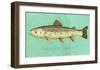 Brown Trout-John Golden-Framed Art Print