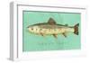 Brown Trout-John Golden-Framed Art Print