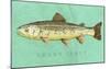 Brown Trout-John Golden-Mounted Giclee Print