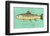 Brown Trout-John W^ Golden-Framed Art Print