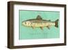 Brown Trout-John W^ Golden-Framed Art Print