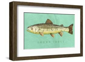 Brown Trout-John W^ Golden-Framed Art Print