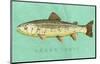 Brown Trout-John W^ Golden-Mounted Art Print