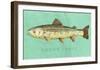 Brown Trout-John W^ Golden-Framed Art Print